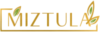 miztula-logo